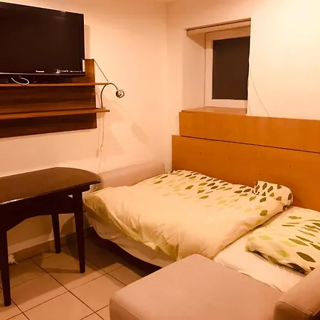 Iris * Albrechtice (Moravia-Silesia)