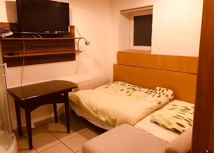 Iris * Albrechtice (Moravia-Silesia)